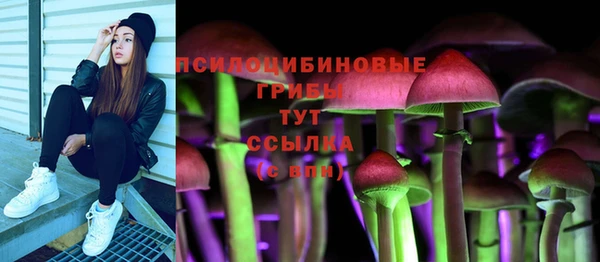 метадон Заводоуковск