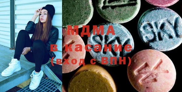 хмурый Ельня