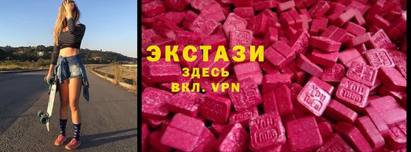 хмурый Ельня