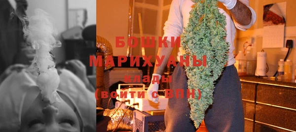 хмурый Ельня