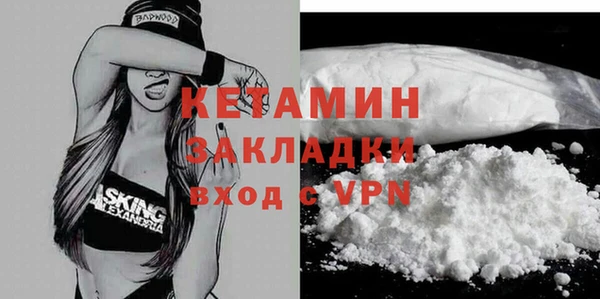 хмурый Ельня