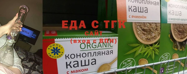 хмурый Ельня
