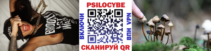 Галлюциногенные грибы мицелий  Купить закладки  Райчихинск 